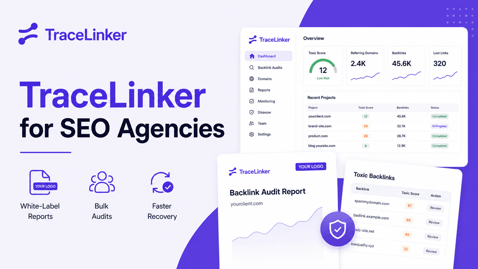 TraceLinker for SEO Agencies - White-Label Reports, Bulk Audits, Faster Recovery